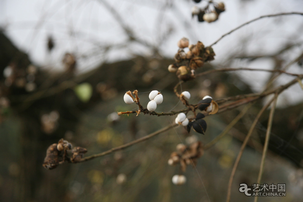 胡振德,藝術(shù)家胡振德,胡振德藝術(shù),胡振德作品,胡振德展覽,胡振德個(gè)展,胡振德介紹,胡振德視頻,胡振德寫(xiě)生