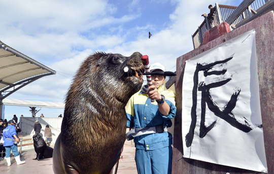 海獅嘴叼毛筆書漢字辰迎龍年