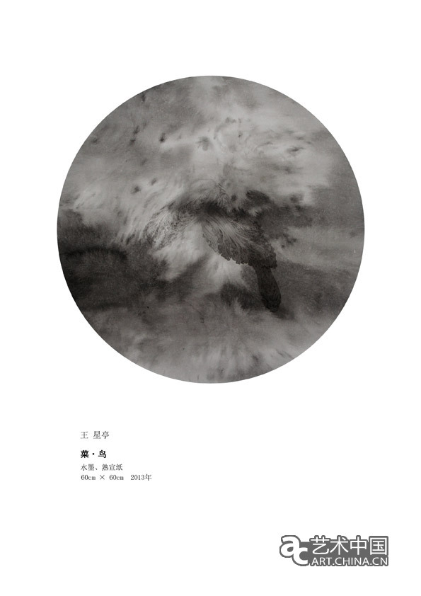 2013四川美術(shù)學(xué)院畢業(yè)展,四川美術(shù)學(xué)院畢業(yè)展,四川美術(shù)學(xué)院,畢業(yè)展,2013四川美院畢業(yè)展,四川美院畢業(yè)展,美院畢業(yè)展