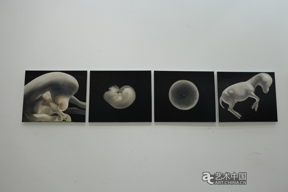 2013魯迅美術(shù)學(xué)院畢業(yè)展,魯迅美術(shù)學(xué)院畢業(yè)展,魯迅美術(shù)學(xué)院,畢業(yè)展,2013魯迅美院畢業(yè)展,魯迅美院畢業(yè)展,美院畢業(yè)展