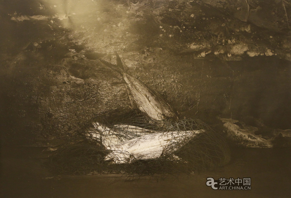 2014魯迅美術(shù)學(xué)院畢業(yè)展,2014魯迅美院畢業(yè)展,魯迅美術(shù)學(xué)院畢業(yè)展,魯迅美院畢業(yè)展,2014魯迅美院,畢業(yè)展,2014魯迅美術(shù)學(xué)院,魯迅美院畢業(yè)設(shè)計(jì)展,畢業(yè)設(shè)計(jì)展,美院畢業(yè)展