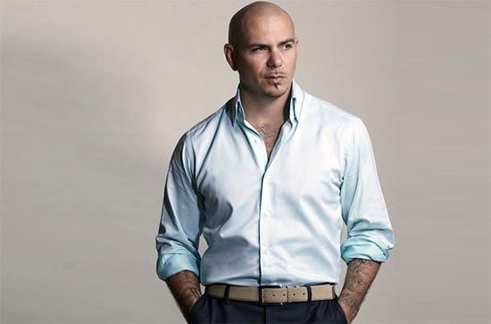 pitbull